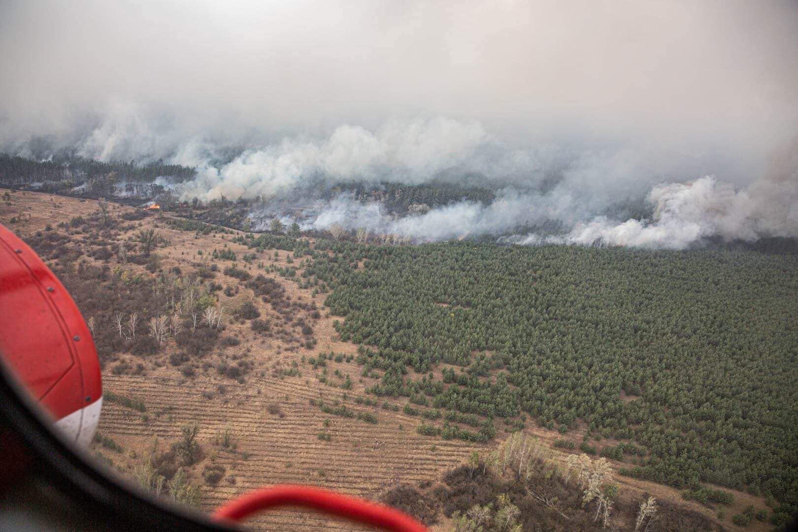 Лісові пожежі на Луганщині: оголошена евакуація Олександрівки
