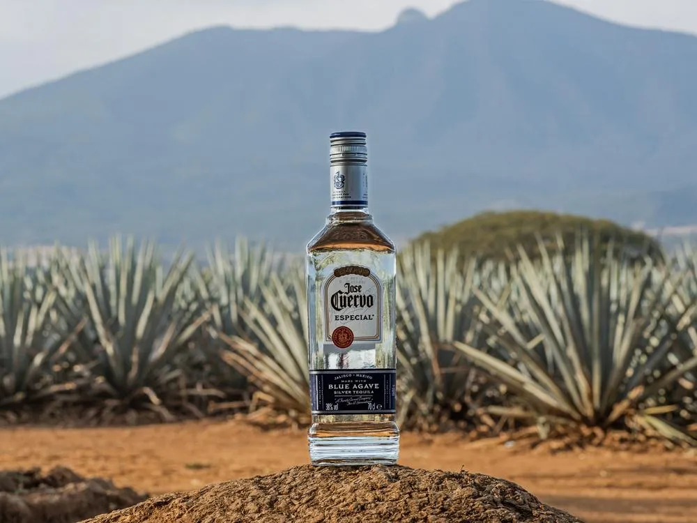 Текіла Текіла