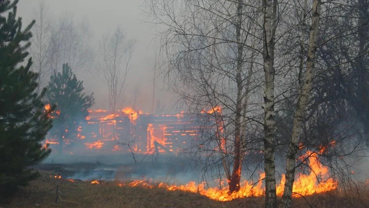 Пожежа на Житомирщині Пожежа на Житомирщині