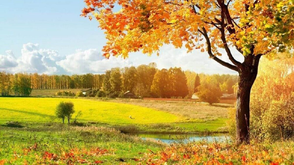 Погода 3 жовтня 2020 Україна: яку погоду обіцяє синоптик Погода 3 жовтня 2020 Україна: яку погоду обіцяє синоптик