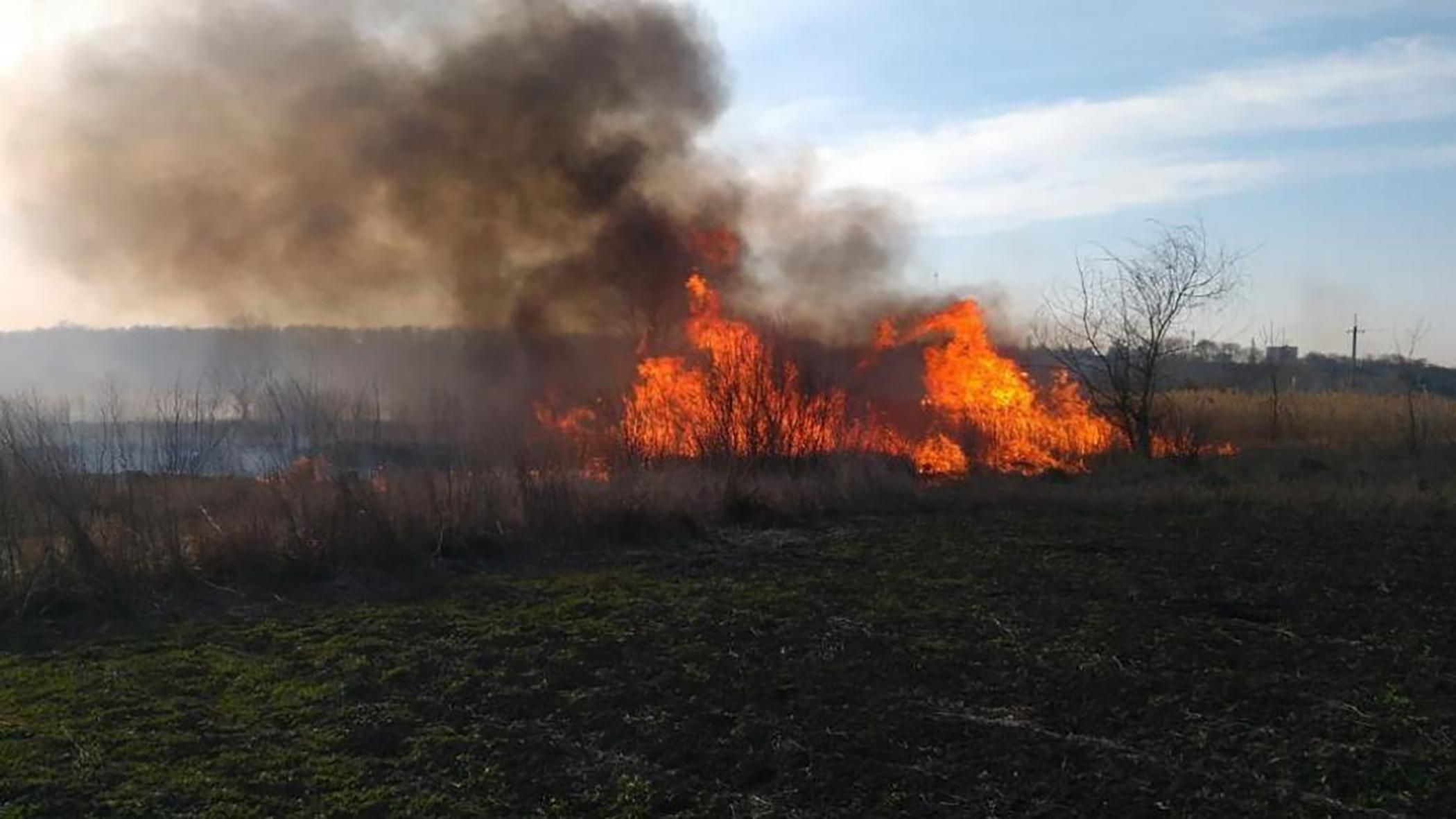 Боевики поджигают сухую траву в Луганской области: видео Боевики поджигают сухую траву в Луганской области: видео