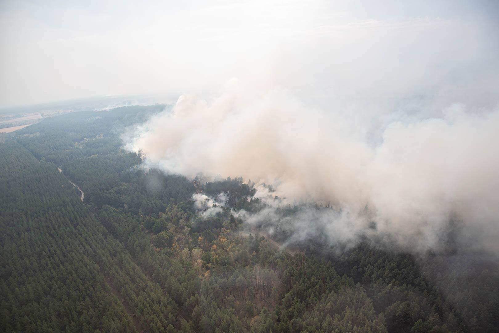 Рятувальники погасили один з осередків пожежі на Луганщині: фото
