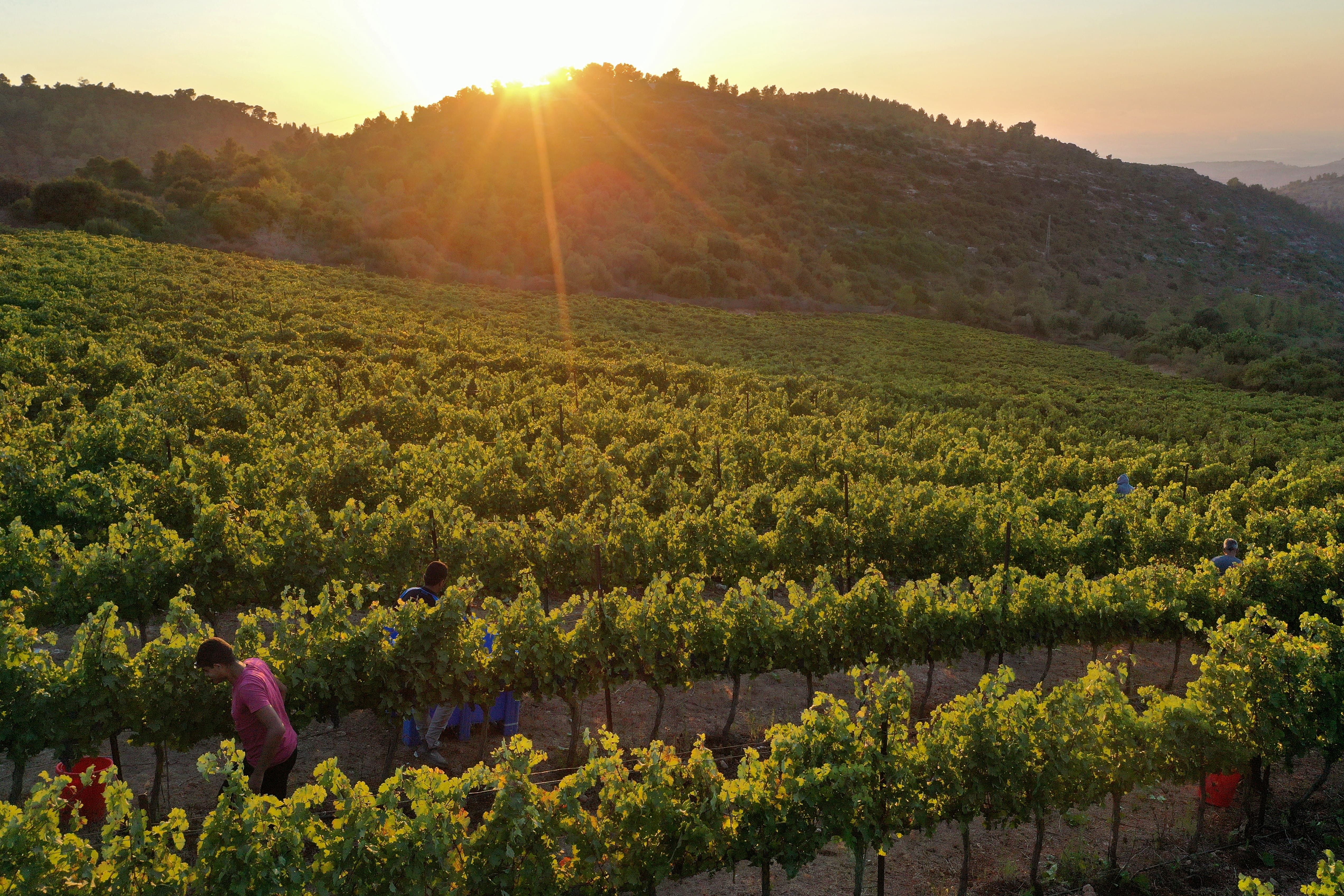 Через глобальне потепління ночі почали нагріватися швидше, ніж дні Через глобальне потепління ночі почали нагріватися швидше, ніж дні