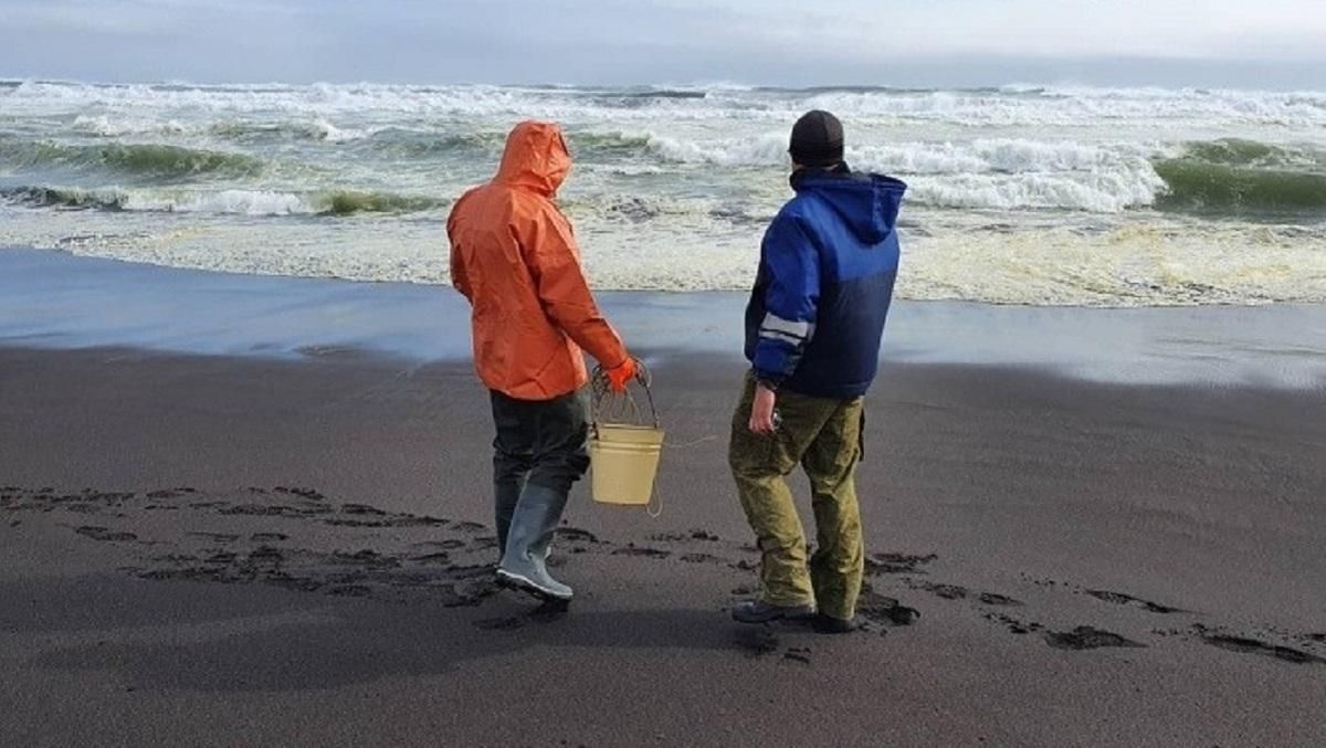 Забруднення води біля Камчатки: що відомо про витік нафти в Росії