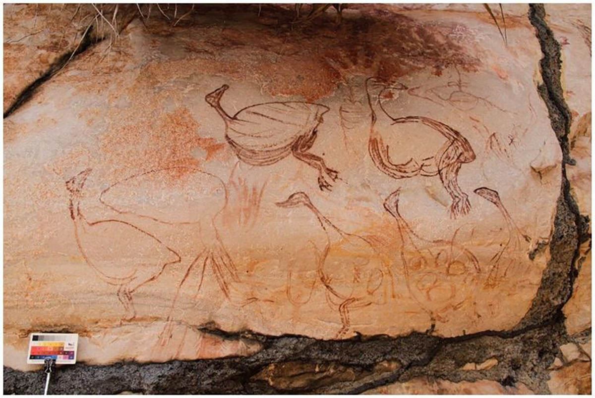 В Австралії знайшли наскельні малюнки невідомого стилю – фото