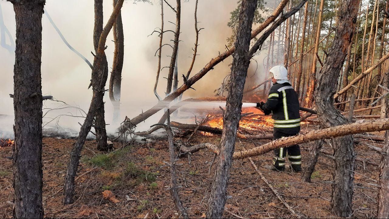 Лісові пожежі на Луганщині: ситуація станом на ранок 5 жовтня