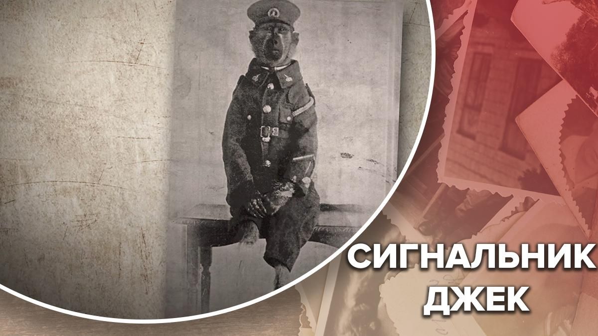 Джек-сигнальник: як нетверезий павіан 10 років обслуговував залізницю – цікава історія Джек-сигнальник: як нетверезий павіан 10 років обслуговував залізницю – цікава історія