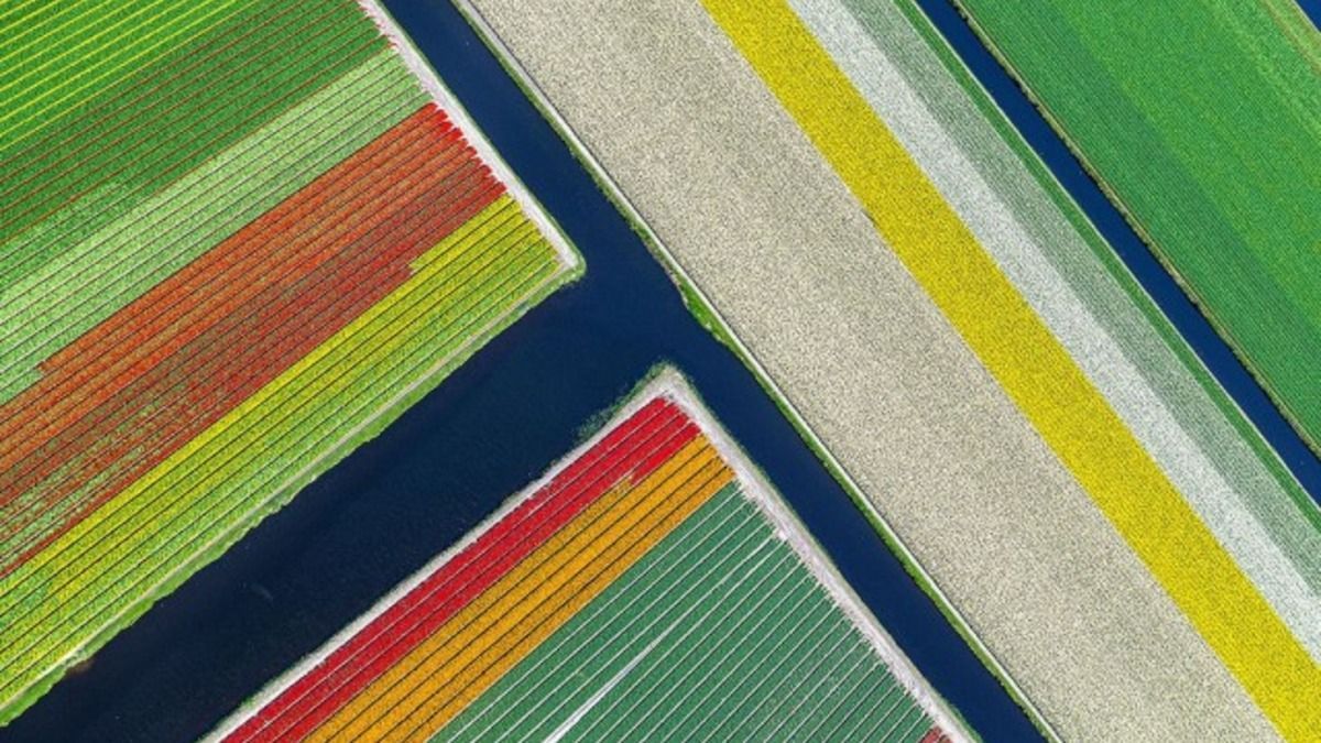 Чарівність деталей у великому світі Чарівність деталей у великому світі