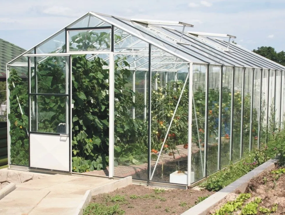 Приклад двосхилої теплиці Приклад двосхилої теплиці