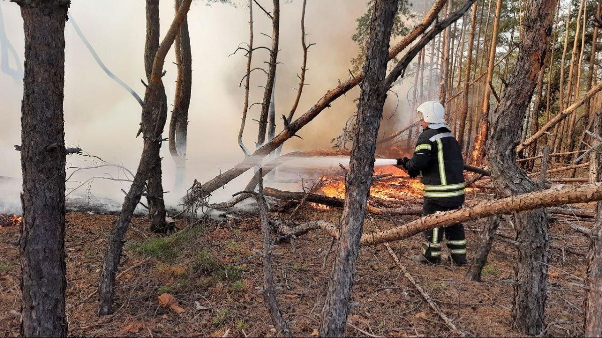 На Луганщине остался один очаг пожара из десяти