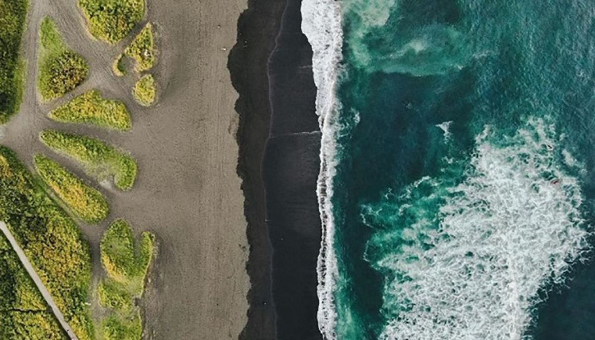 На Камчатці вже загинули 95% мешканців морського дна, – вчені На Камчатці вже загинули 95% мешканців морського дна, – вчені