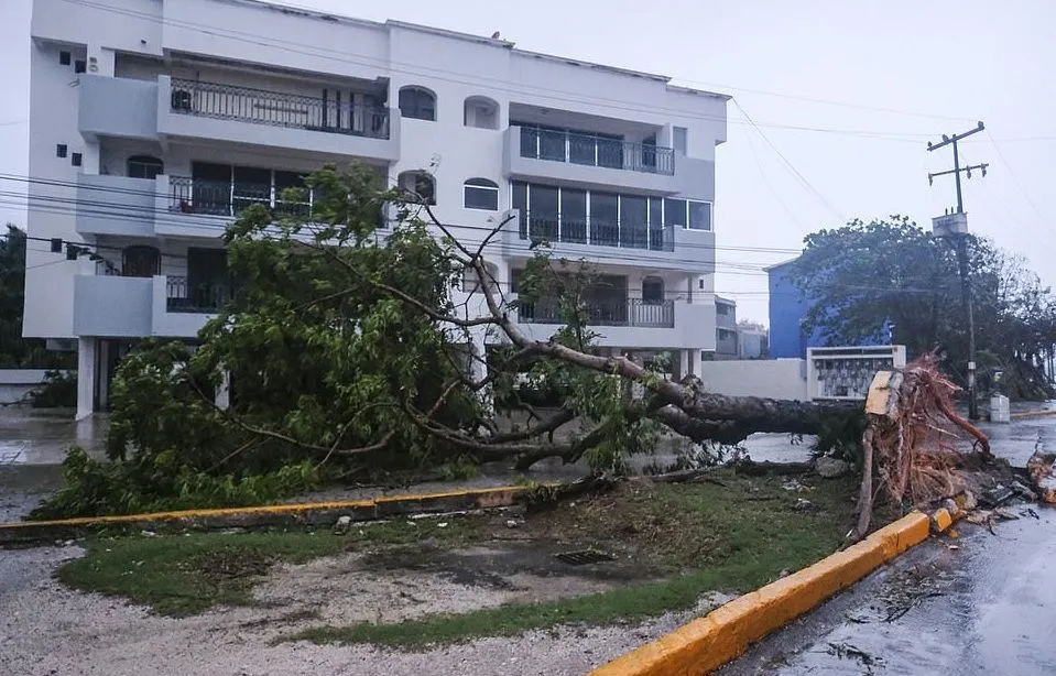 Ураган зруйнував дерева