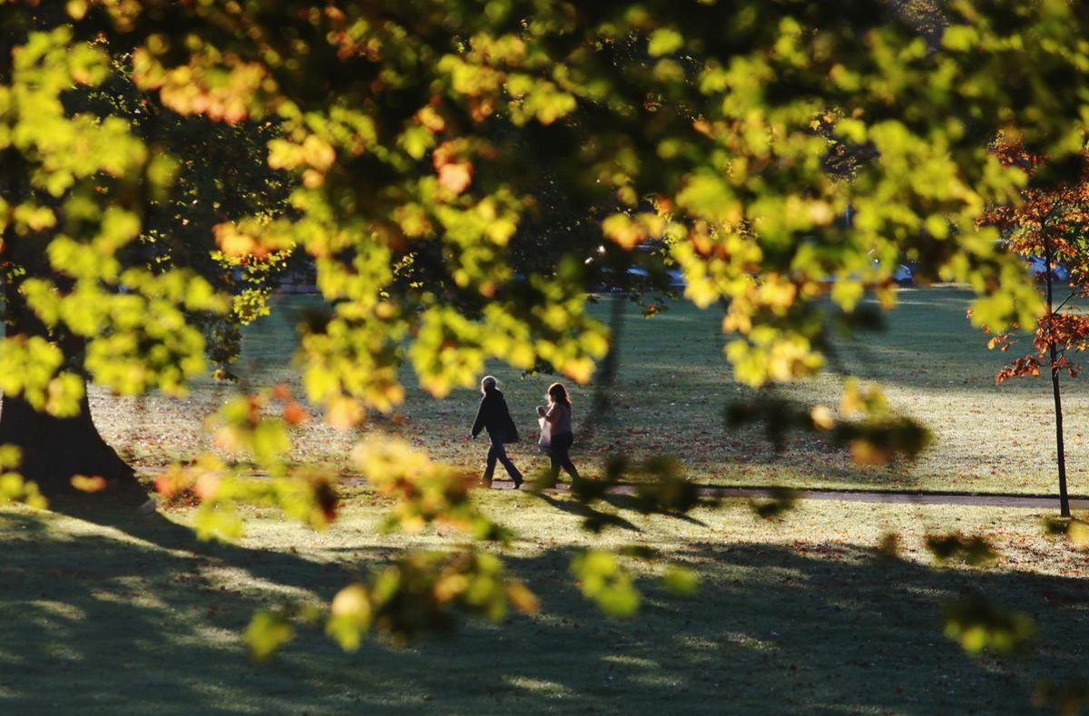 Сентябрь 2020 стал самым жарким за всю историю Сентябрь 2020 стал самым жарким за всю историю