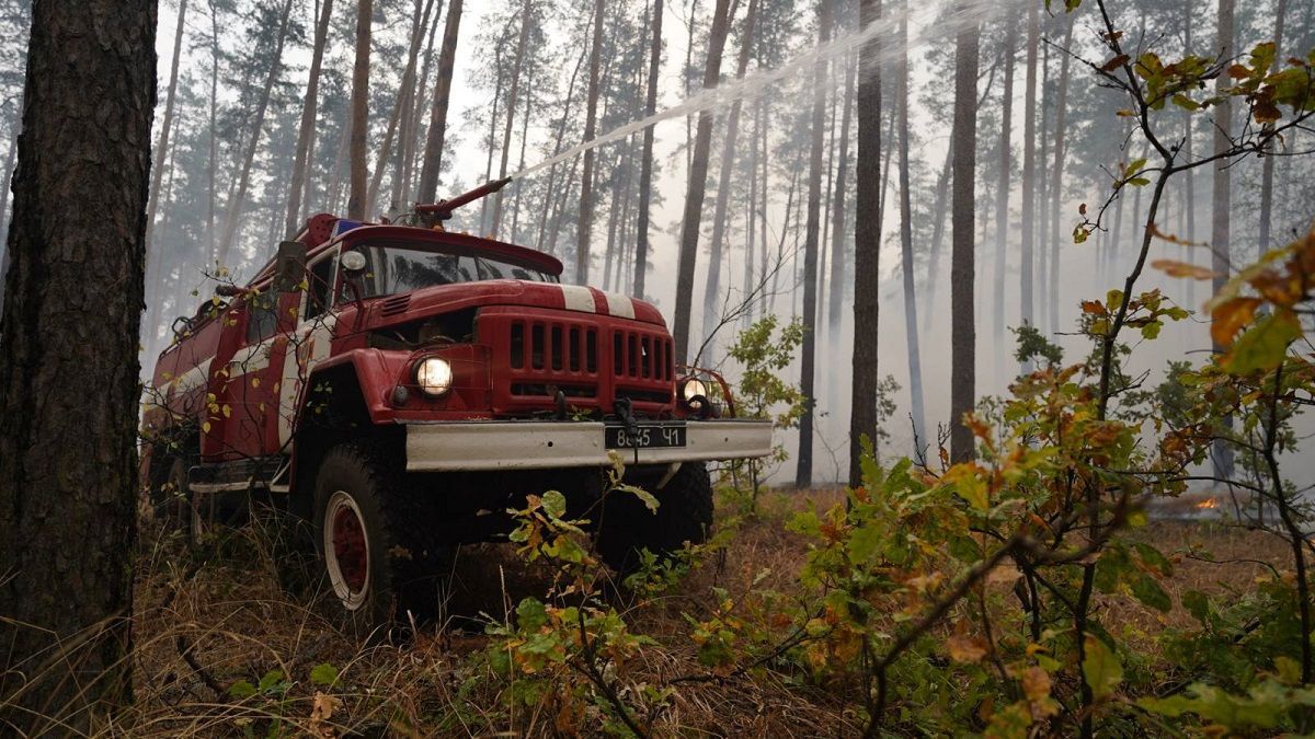 Лісові пожежі в Луганській області ліквідували 08.10.2020