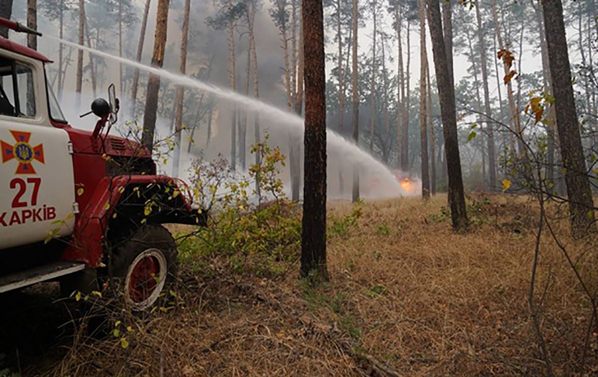 Деякі міста і села повністю згоріли – наслідки пожеж на Луганщині