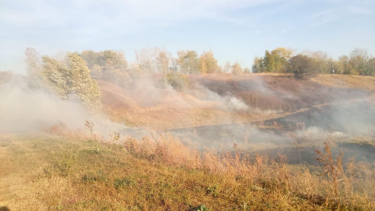 Пожежі у Харківській області 8.10.2020: вогонь перекинувся з Росії Пожежі у Харківській області 8.10.2020: вогонь перекинувся з Росії
