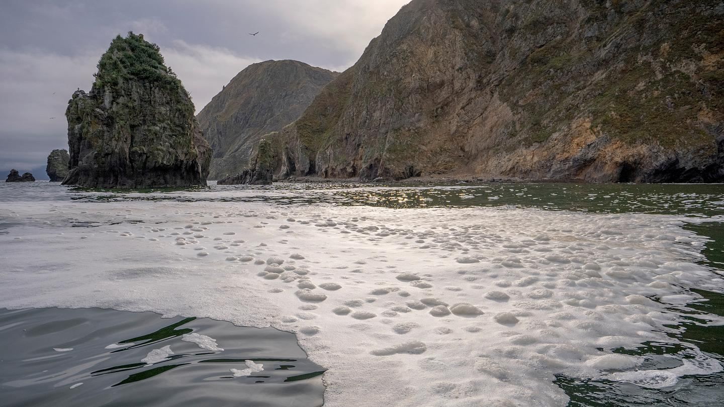 Уровень загрязнения воды на Камчатке превышает норму