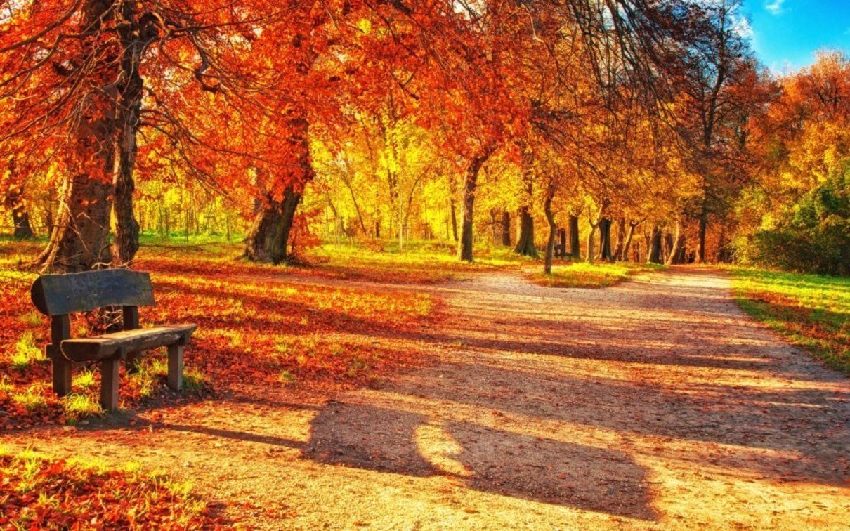 Погода 11 жовтня 2020 Україна: яку погоду обіцяє синоптик Погода 11 жовтня 2020 Україна: яку погоду обіцяє синоптик