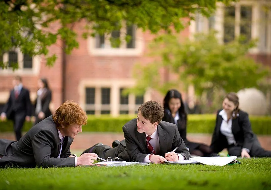 Вища освіта Вища освіта