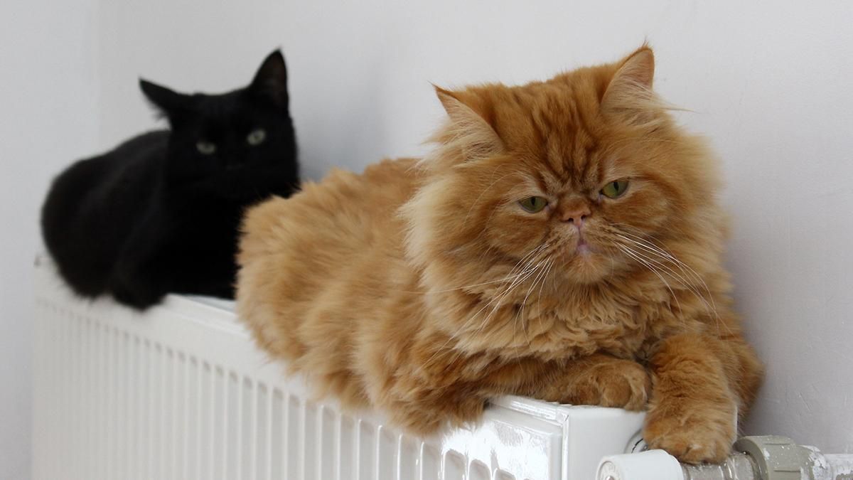 Чи готова Україна до опалювального сезону 2020–2021: деталі Чи готова Україна до опалювального сезону 2020–2021: деталі