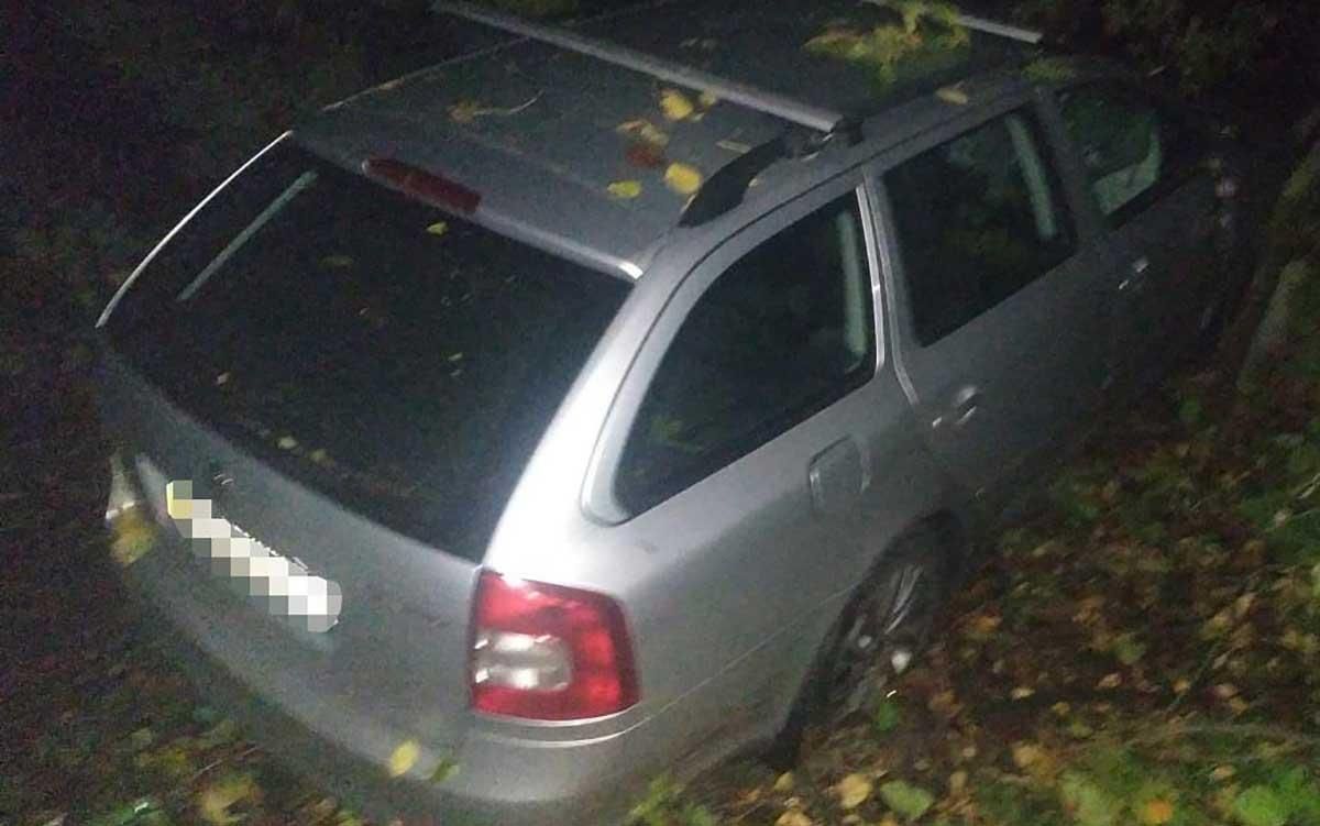 Под Винницей дерево упало на автомобиль 8 октября 2020: водитель погиб