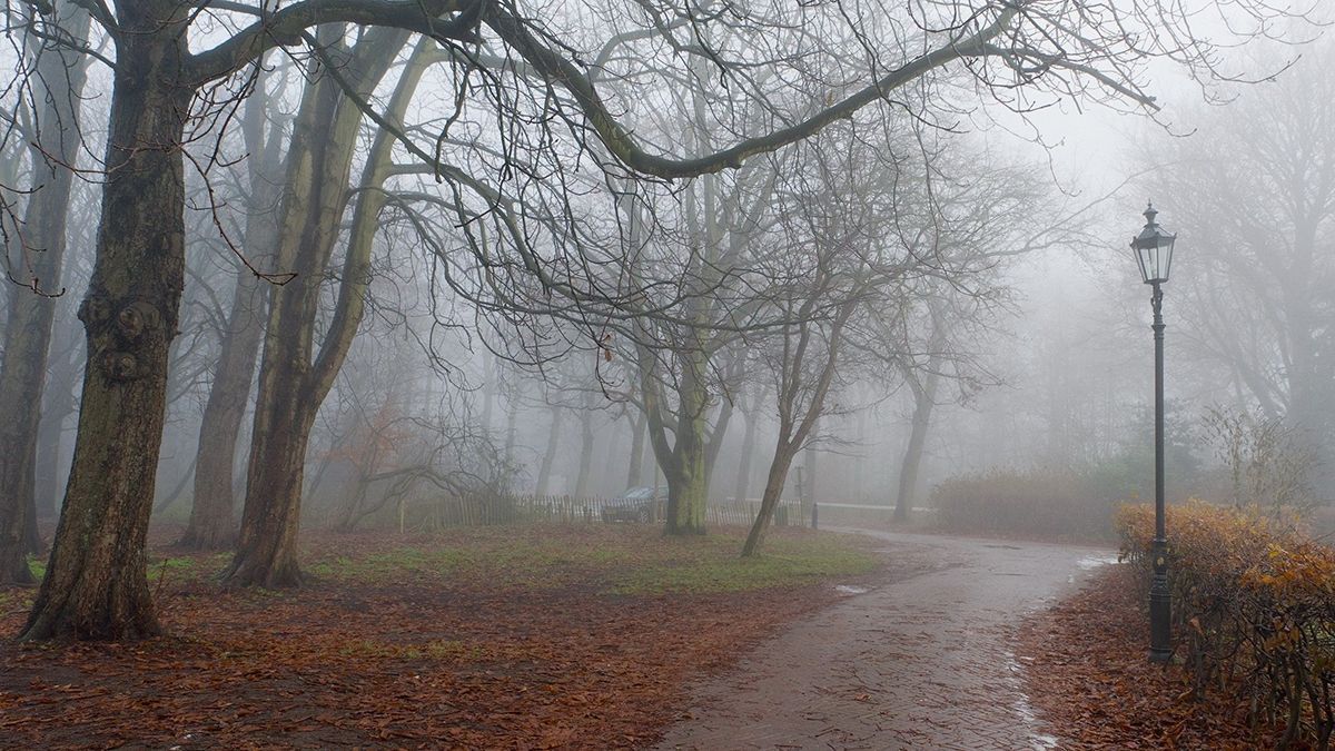 Погода 15 октября 2020 – Киев, Харьков, Днепр, вся Украина прогноз погоды Погода 15 октября 2020 – Киев, Харьков, Днепр, вся Украина прогноз погоды