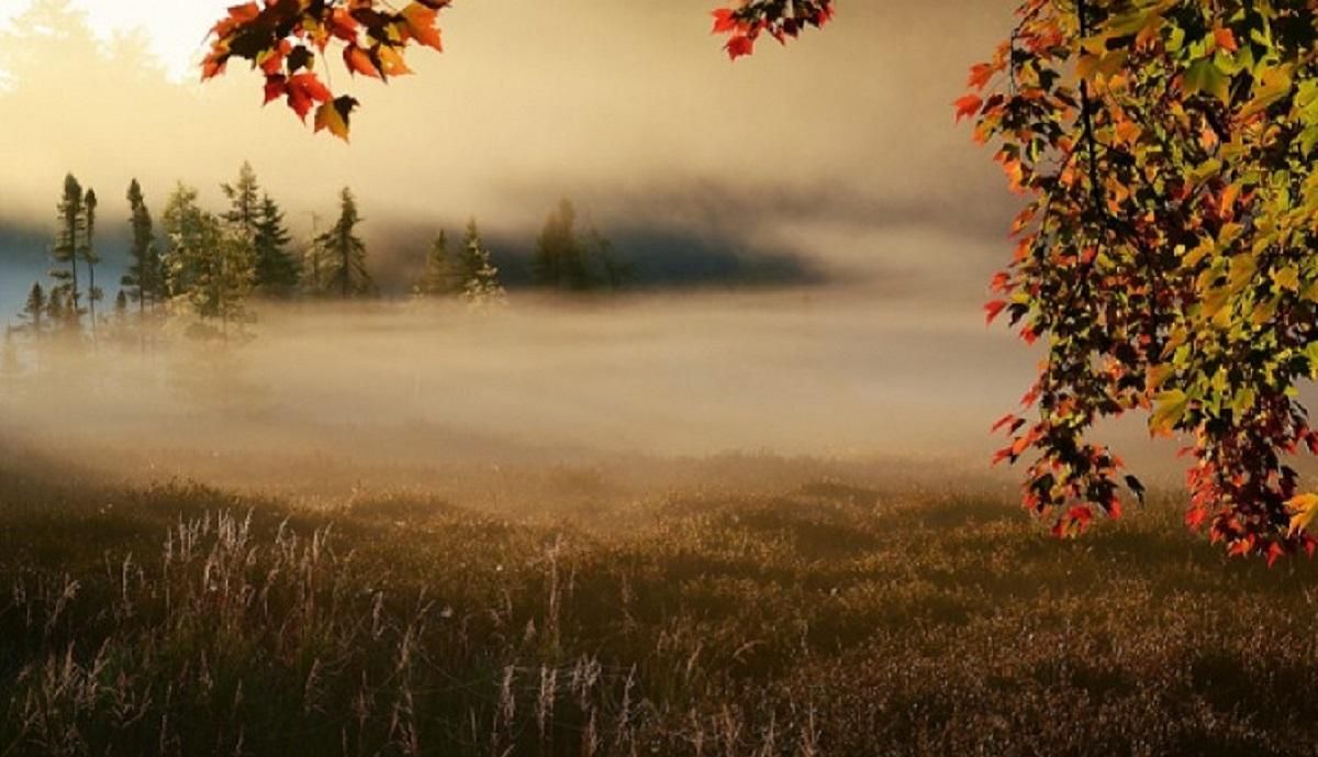 Погода 19 жовтня 2020 – Київ, Харків, Львів – вся Україна Погода 19 жовтня 2020 – Київ, Харків, Львів – вся Україна