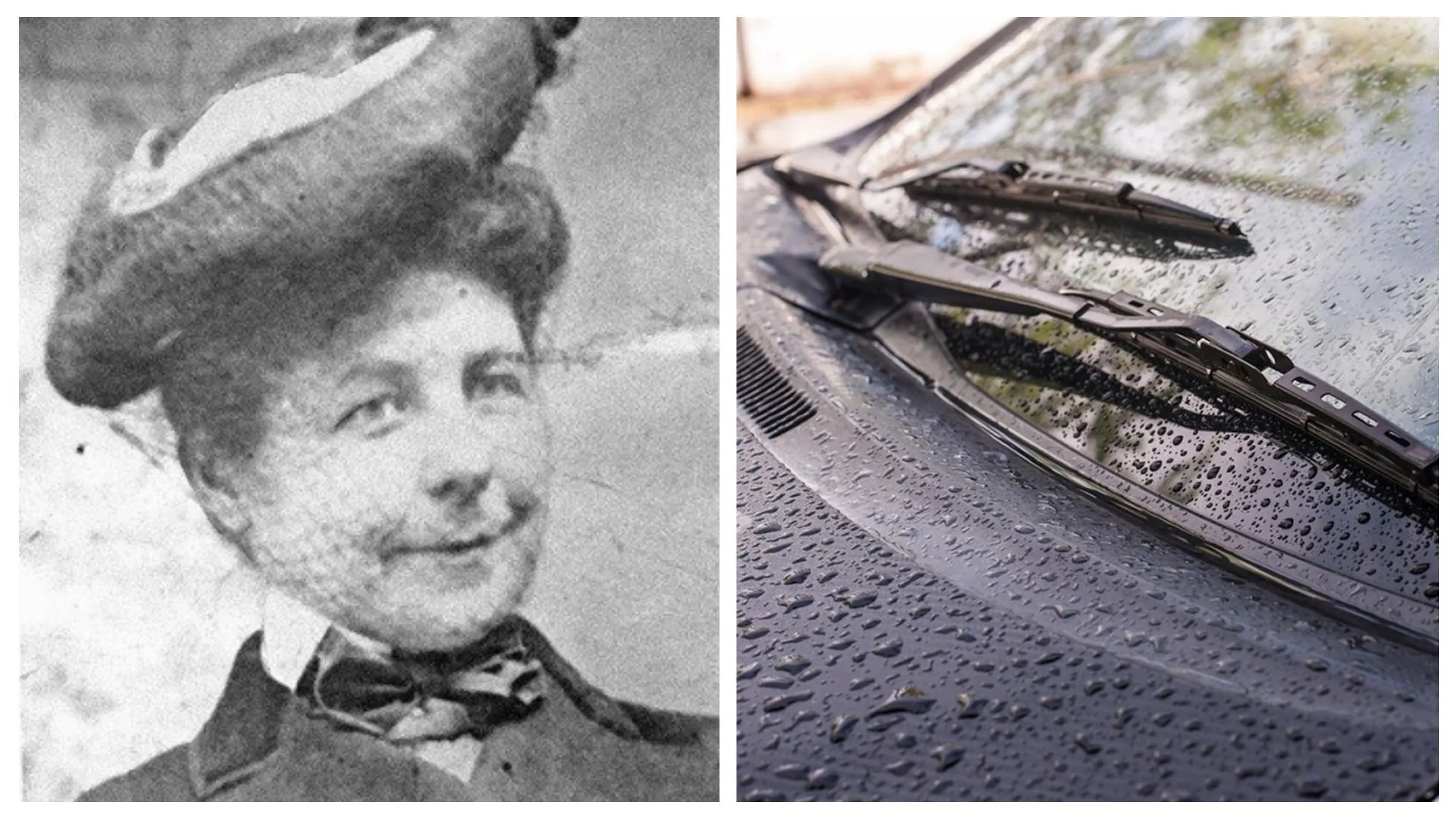 дворники дворники