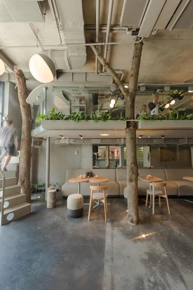 Дерева Дерева