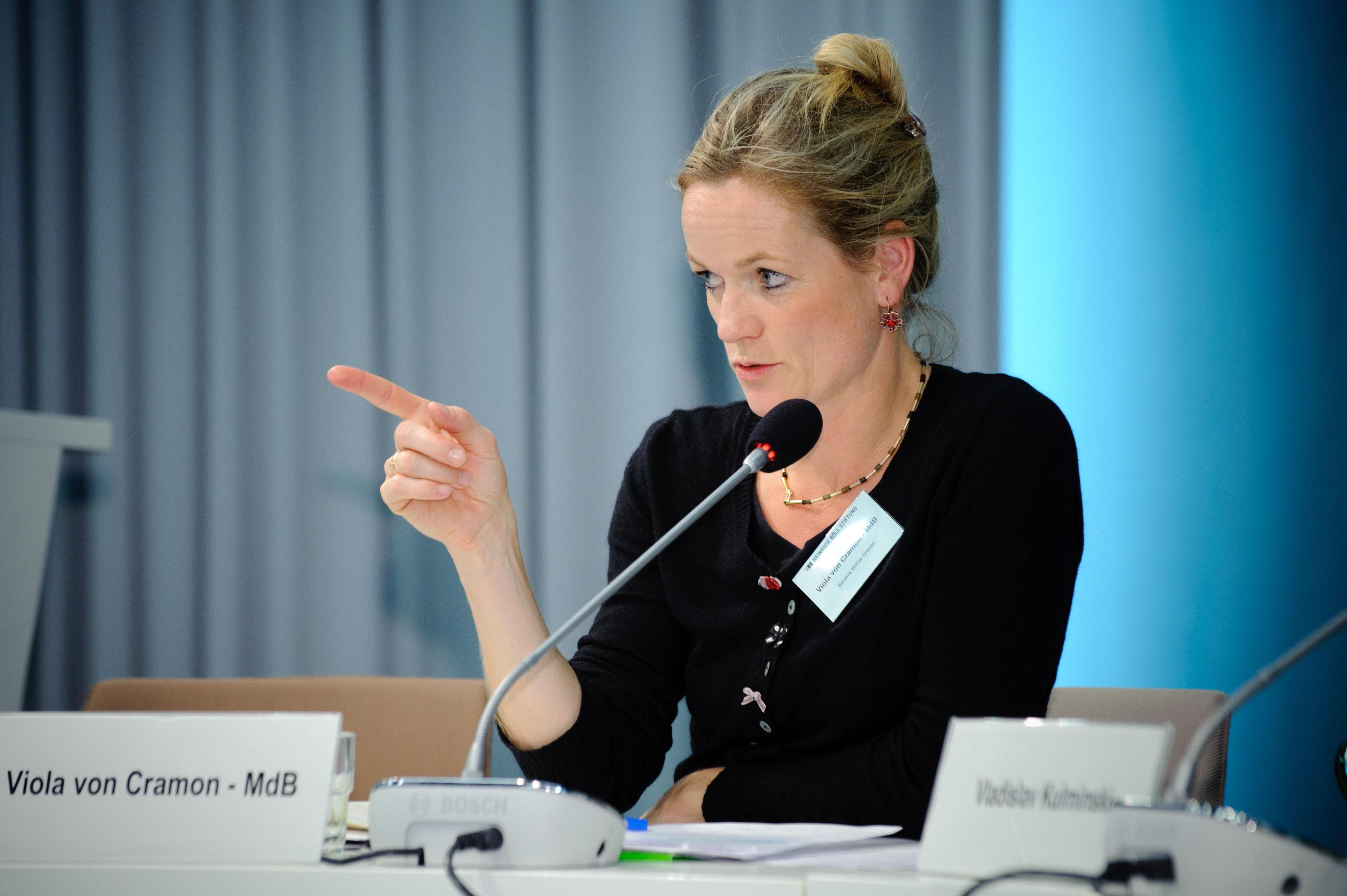 Депутатка Європарламенту розповіла про лист через САП Депутатка Європарламенту розповіла про лист через САП