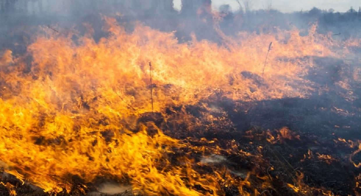 Пожарная опасность в Украине 17 октября 2020: перечень регионов