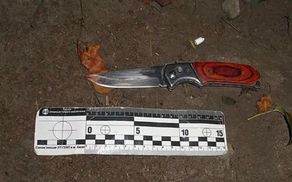 Замах на волонтера у Києві: підозрюваного арештували на 2 місяці

