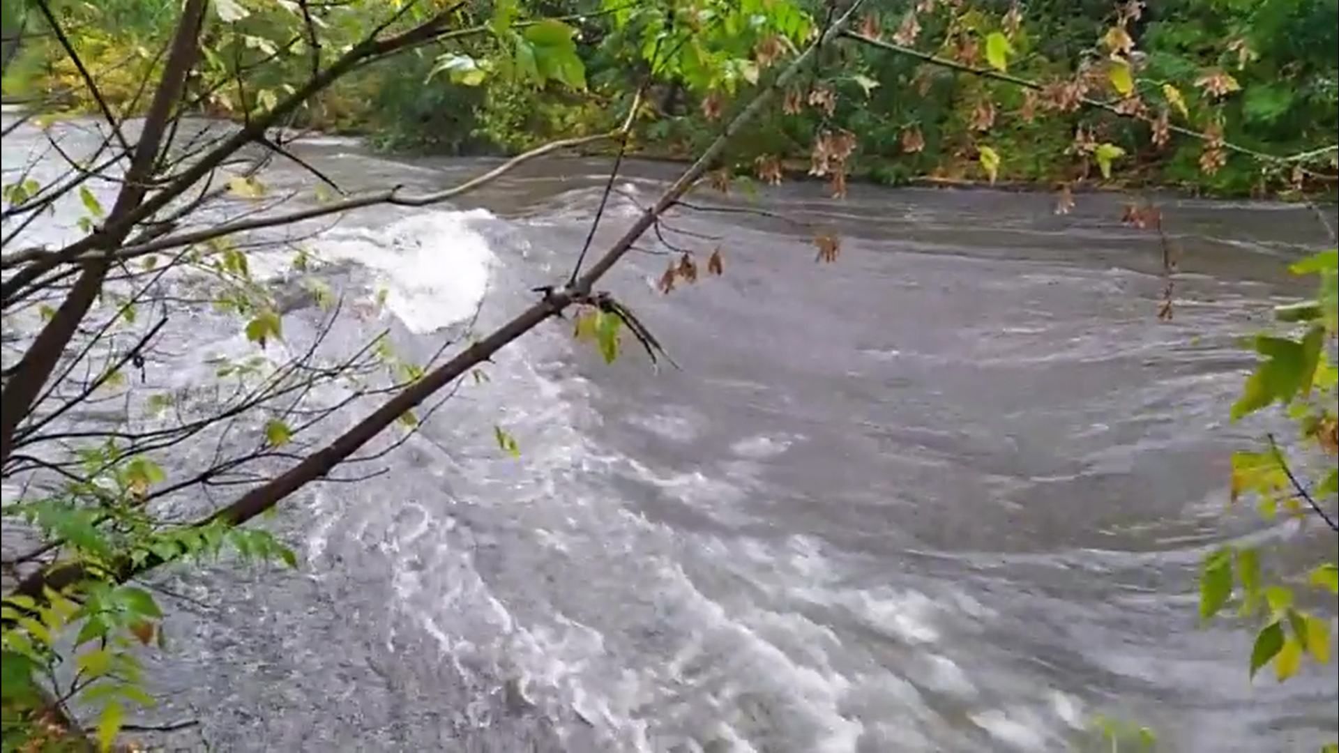 Словно горная река: Лыбидь разбушевалась и вышла из берегов из-за непогоды в Киеве 17.10.2020 – видео Словно горная река: Лыбидь разбушевалась и вышла из берегов из-за непогоды в Киеве 17.10.2020 – видео