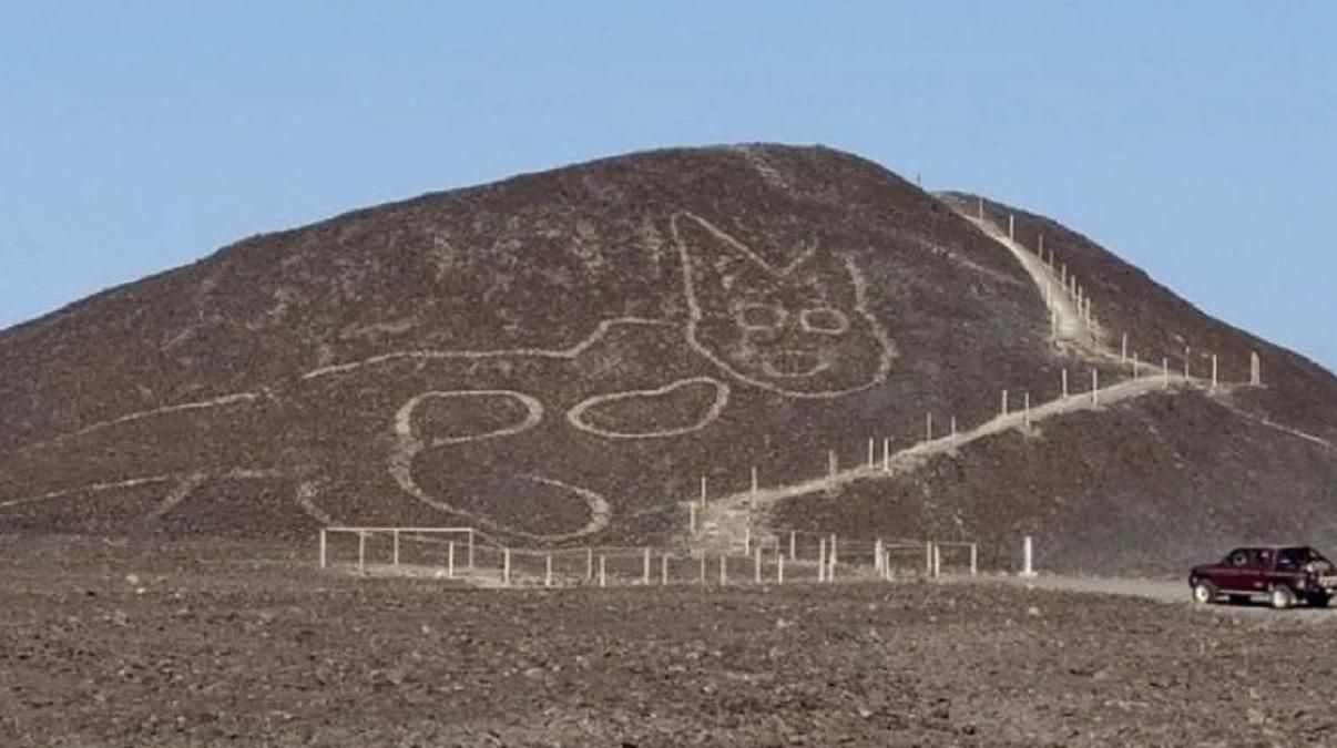 В Перу обнаружили гигантский рисунок кота - фото