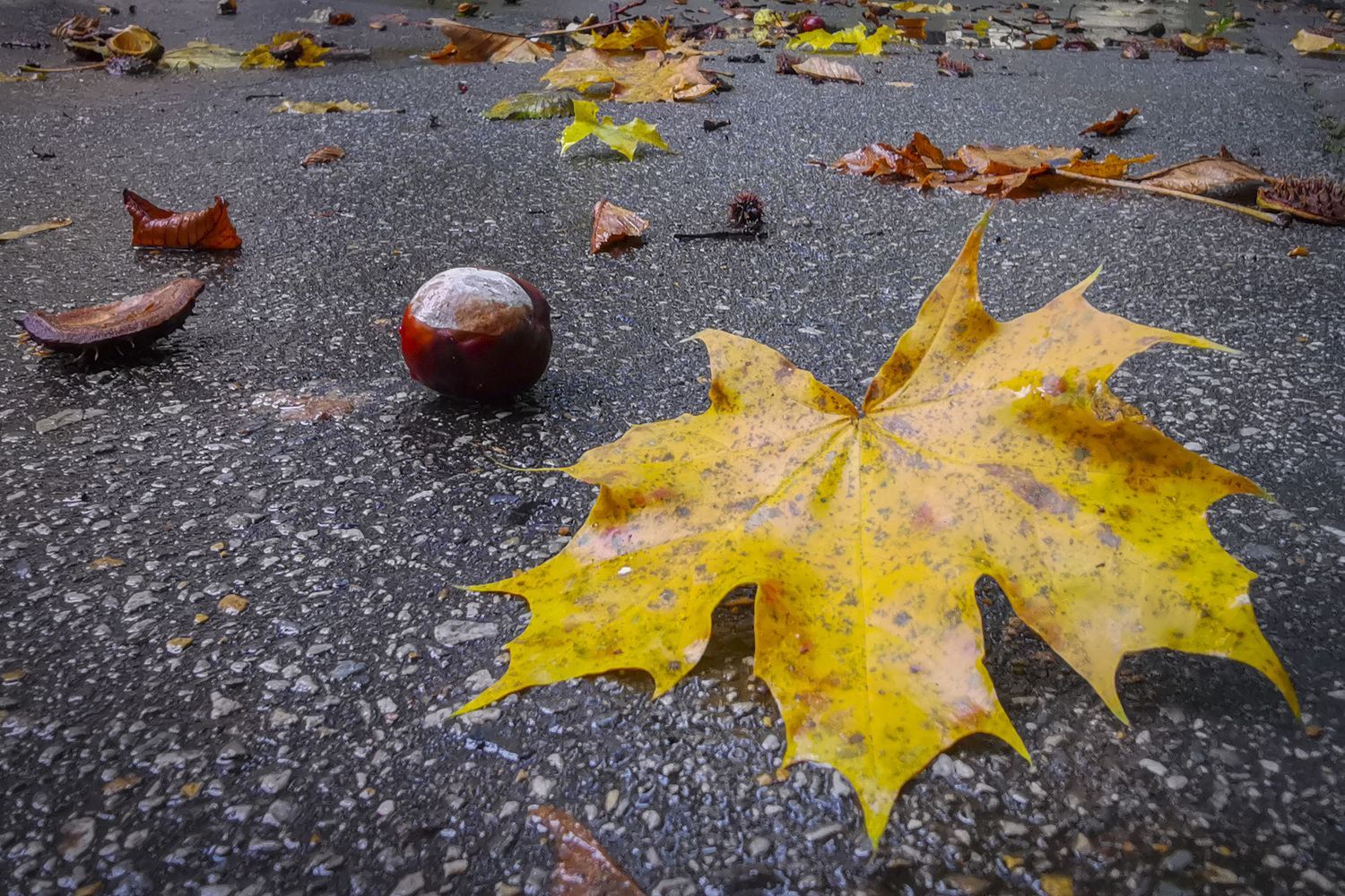Погода 21 жовтня 2020 – Київ, Харків, Львів – вся Україна Погода 21 жовтня 2020 – Київ, Харків, Львів – вся Україна