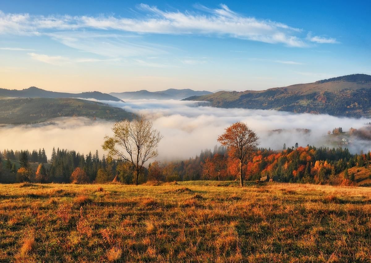 Погода 26 жовтня 2020 – Київ, Харків, Львів – вся Україна Погода 26 жовтня 2020 – Київ, Харків, Львів – вся Україна