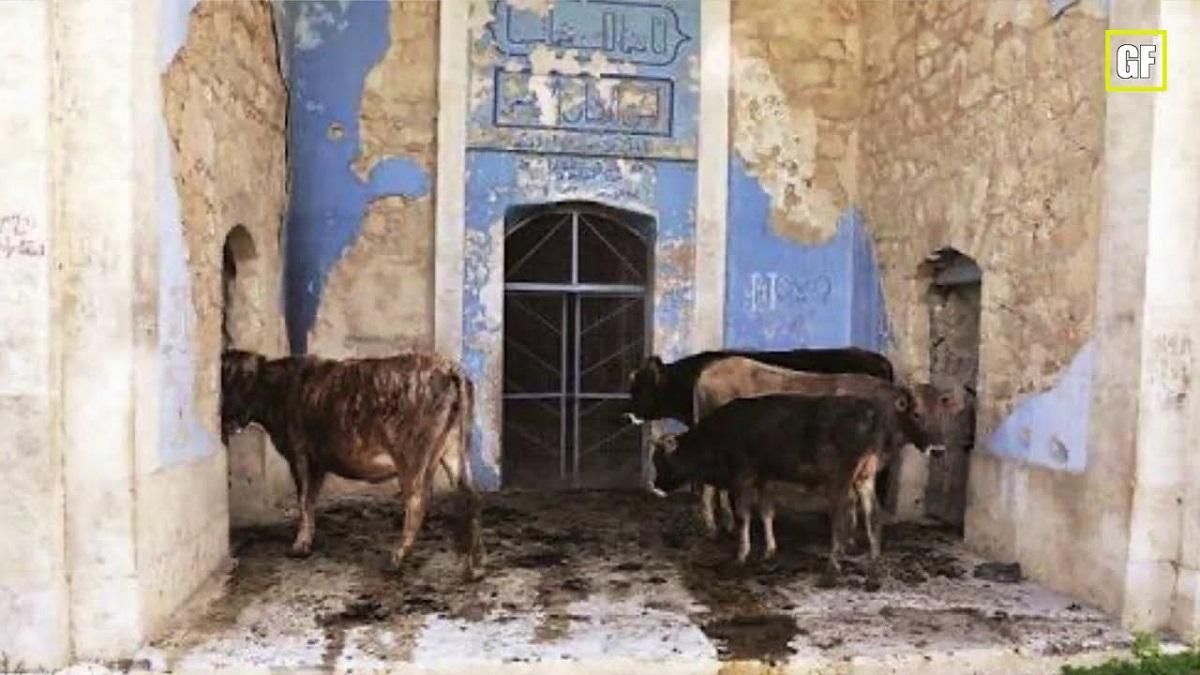 Война в Нагорном Карабахе: Армения превратила мечети в свинарники Война в Нагорном Карабахе: Армения превратила мечети в свинарники