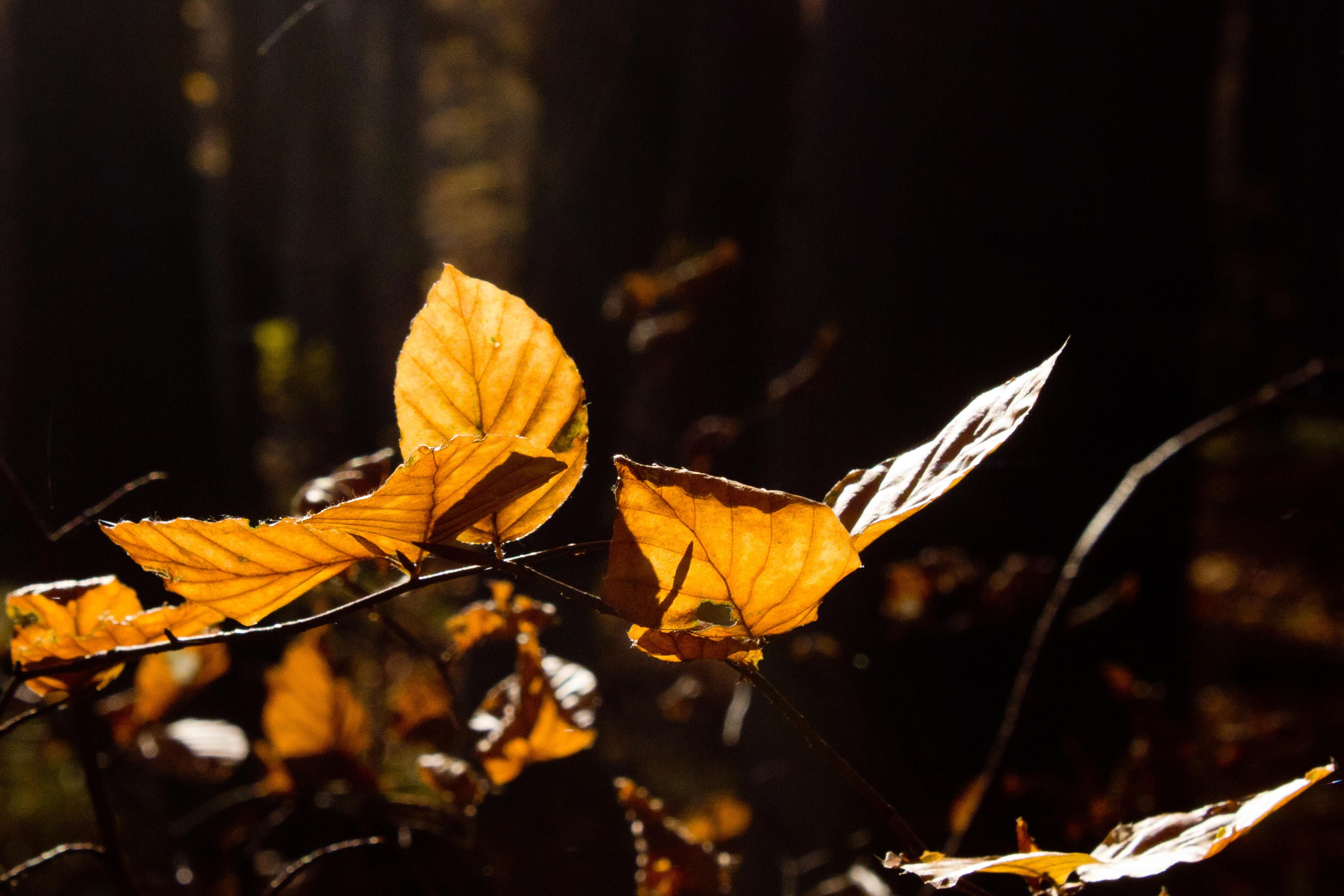 Погода 24 жовтня 2020 – Київ, Харків, Львів – вся Україна Погода 24 жовтня 2020 – Київ, Харків, Львів – вся Україна