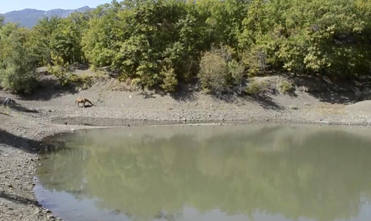  Будущее Крыма без воды: почему на полуострове исчезают озера