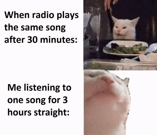 Кіт, мем, музика, ностальгія 