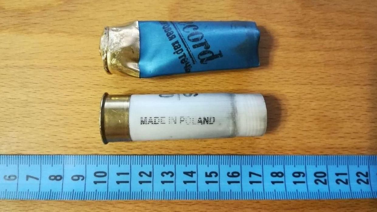 Російського та польського виробництва: якими кулями стріляють у протестувальників в Білорусі Російського та польського виробництва: якими кулями стріляють у протестувальників в Білорусі