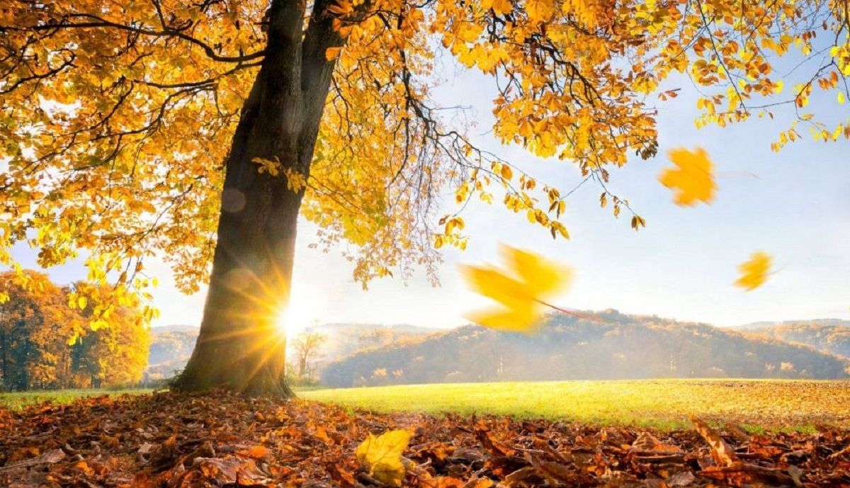 Погода 28 жовтня 2020: прогноз від синоптиків України Погода 28 жовтня 2020: прогноз від синоптиків України