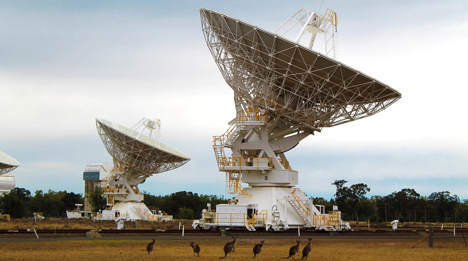 Ужас астрономов: сеть 4G на Луне будет влиять на земные радиотелескопы