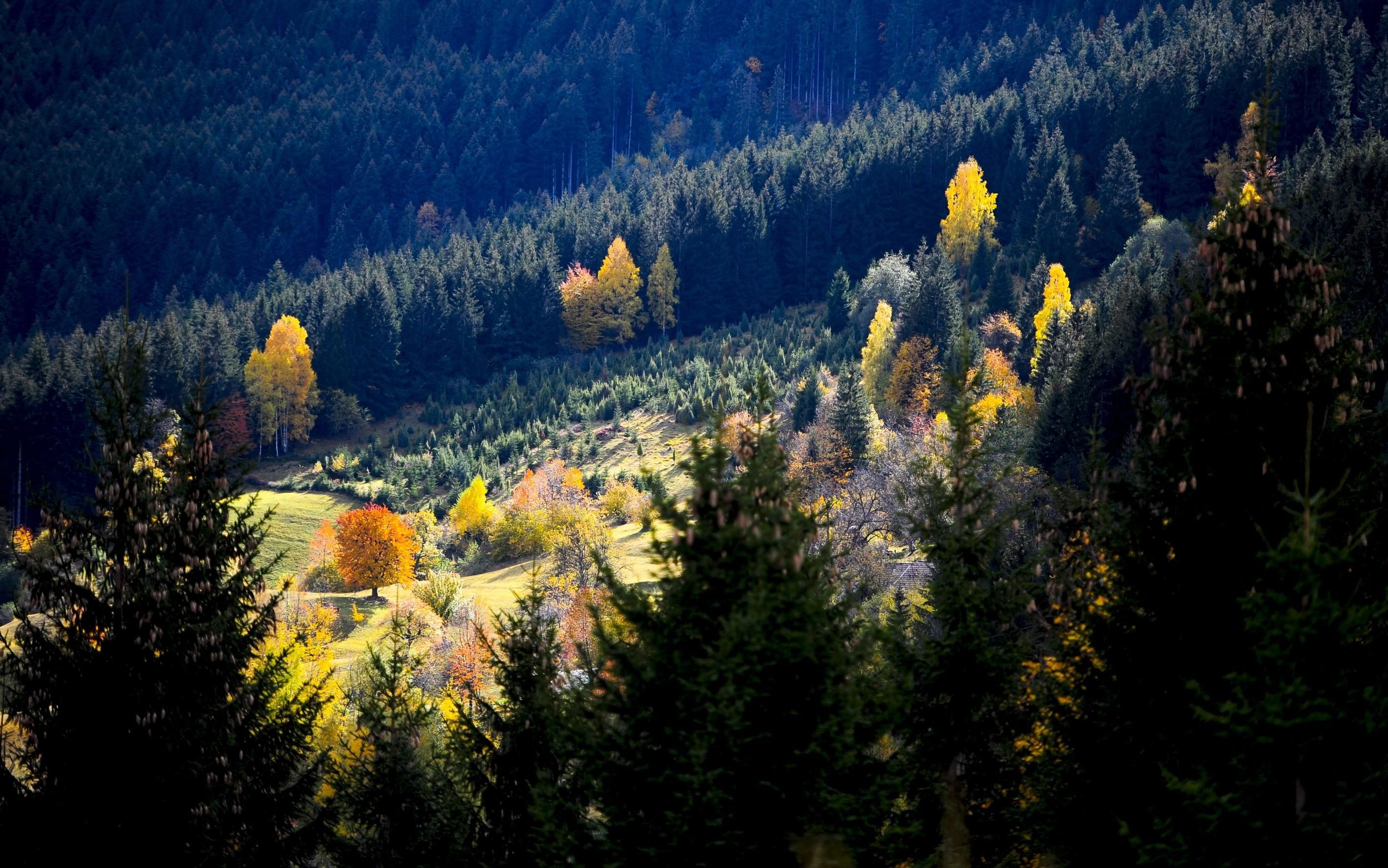 Погода 29 октября 2020: прогноз от синоптиков Украины Погода 29 октября 2020: прогноз от синоптиков Украины