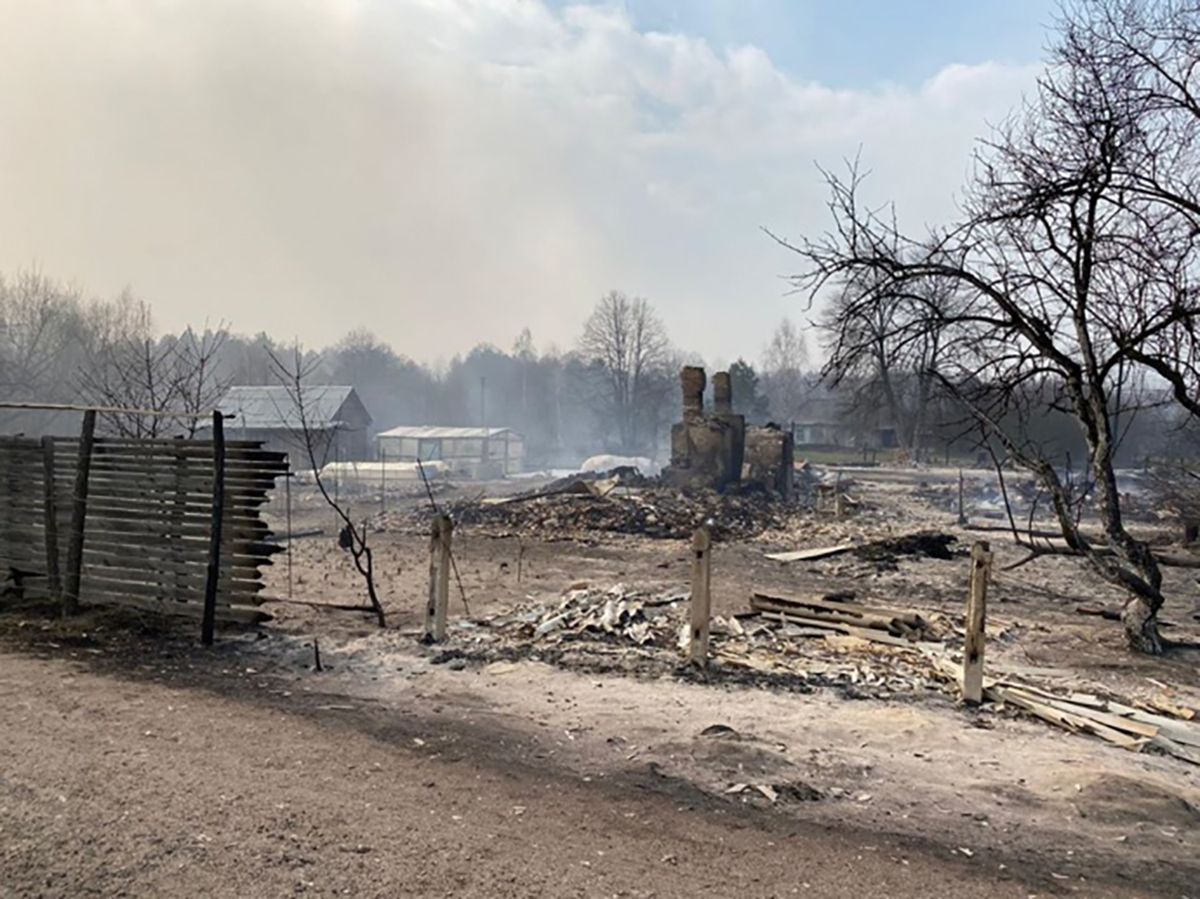 Помощь семьям, пострадавшим от пожаров на Житомирщине: сумма