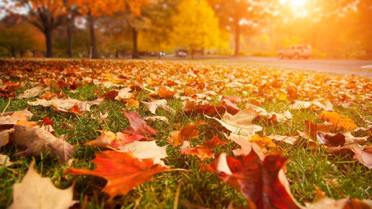 Погода 1 ноября 2020: прогноз от синоптиков Украины Погода 1 ноября 2020: прогноз от синоптиков Украины