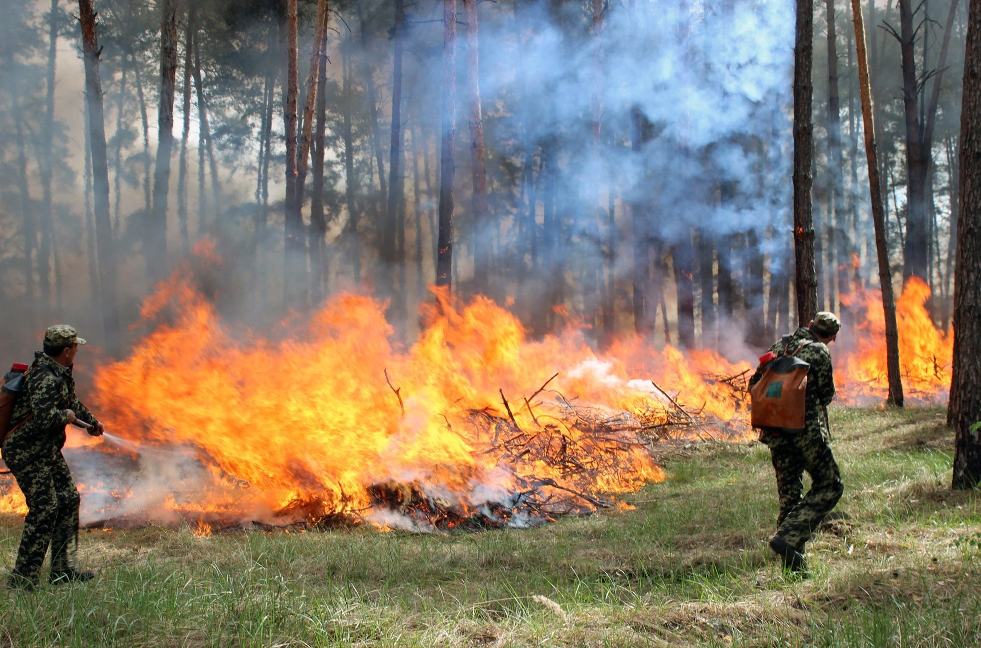 Пожежна небезпека в Україні 31 жовтня 2020: перелік регіонів