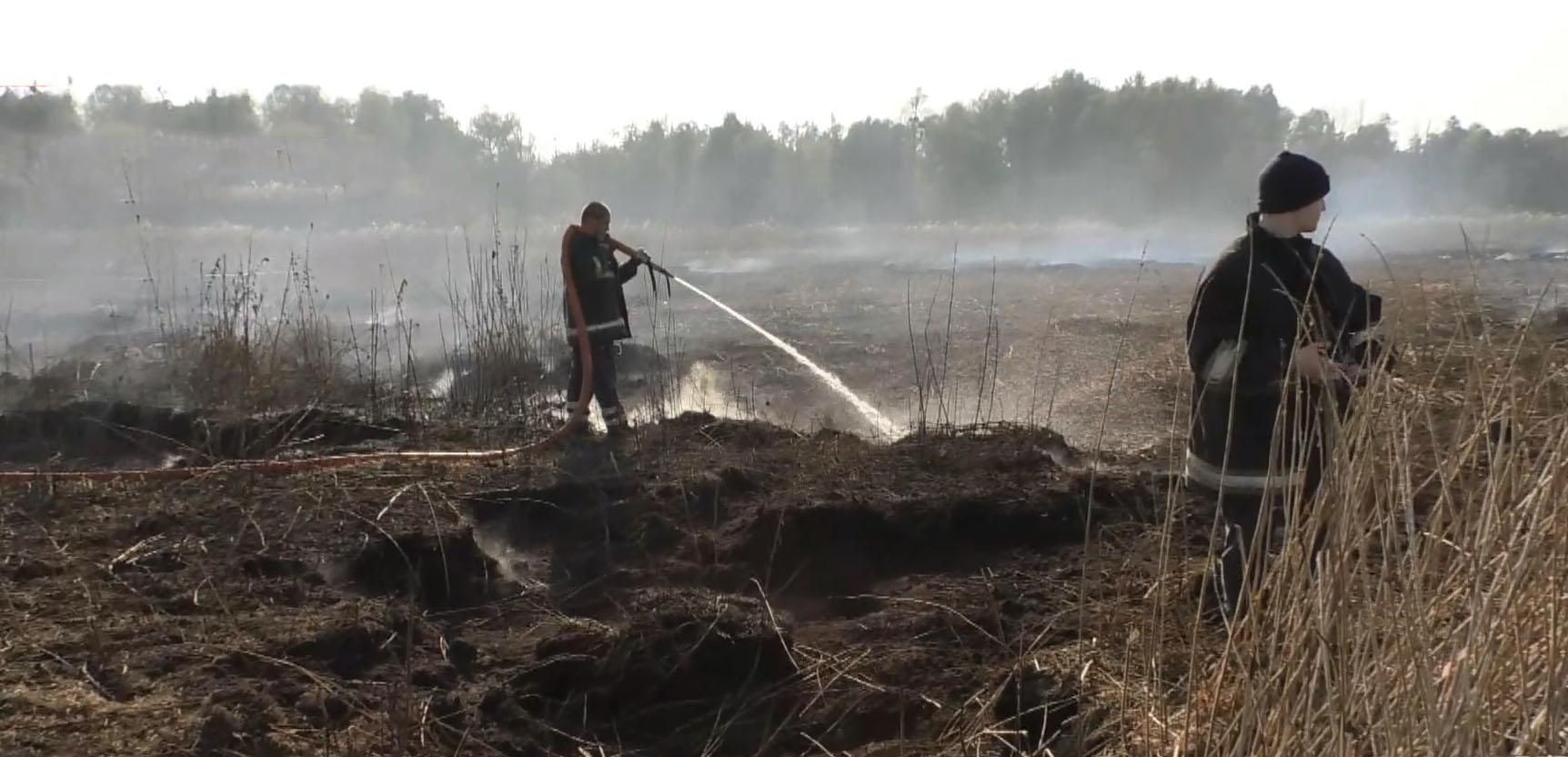 Пожары в Черкасской области октября 2020: что известно, фото и видео