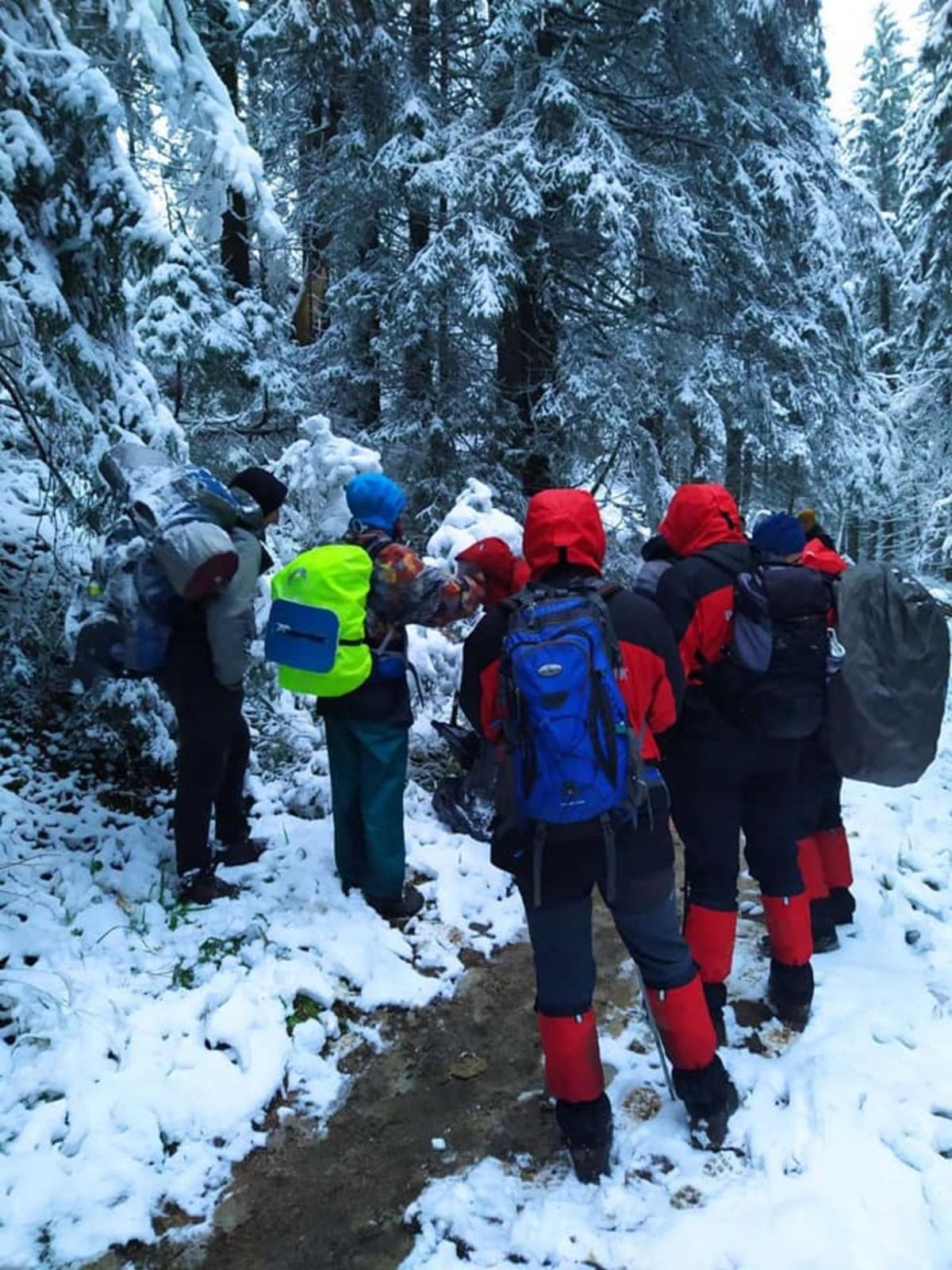 В Карпатах из-за тумана потерялись туристы: чем все закончилось, фото В Карпатах из-за тумана потерялись туристы: чем все закончилось, фото