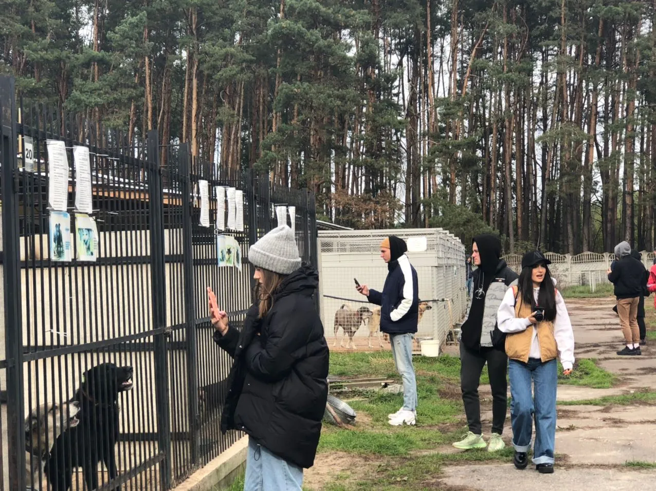 Притулок тварин на Київщині / Фото КМДА Притулок тварин на Київщині / Фото КМДА